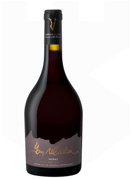 ION VLADOI SHIRAZ